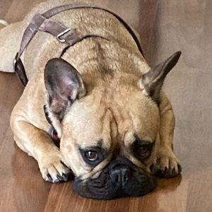 Meet your Posher, Brett